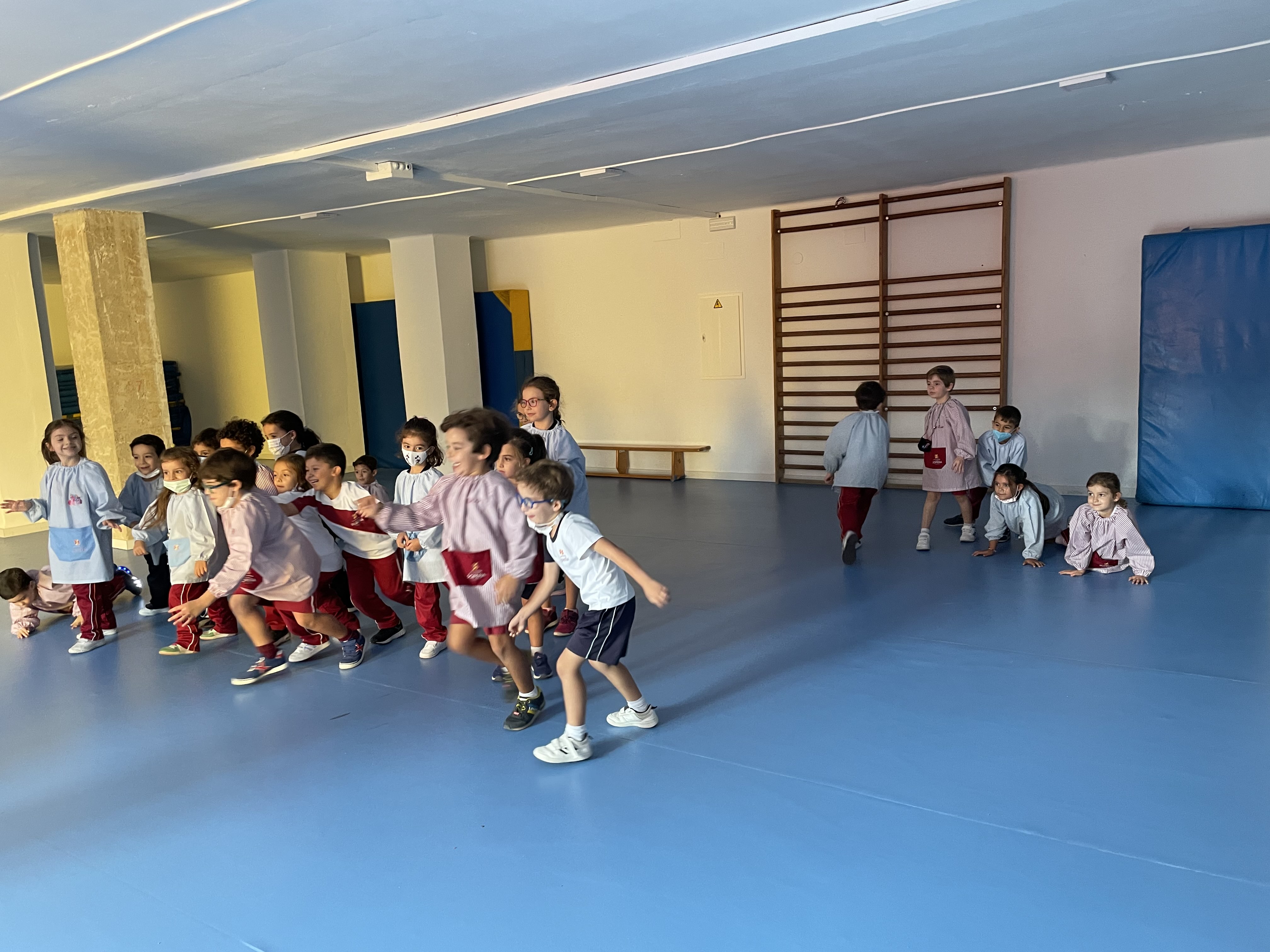 image_50408961