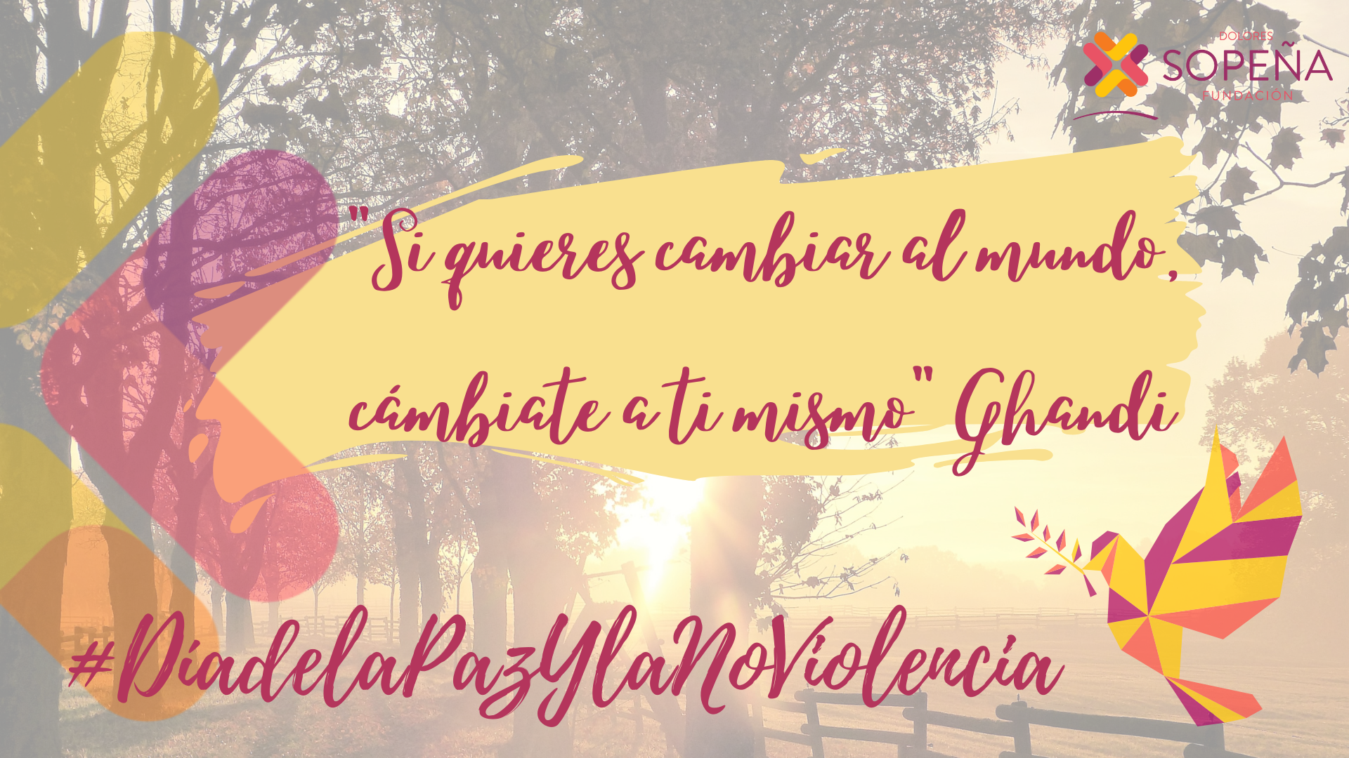 30 enero. Día de la Paz